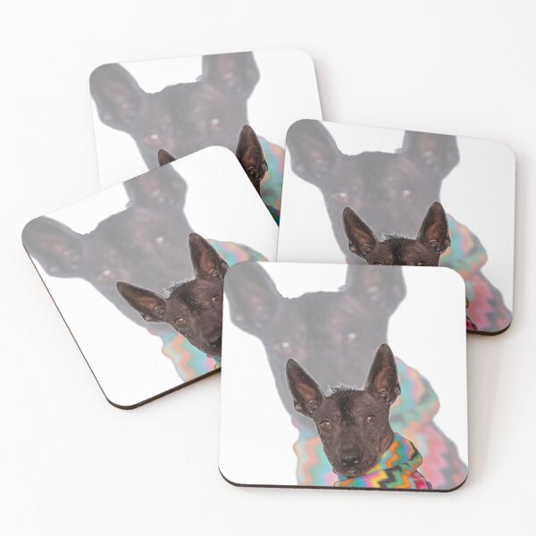 Item preview, XOLO designed and sold by Xolo-Rescue.