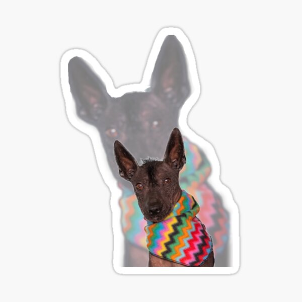 Item preview, XOLO designed and sold by Xolo-Rescue.