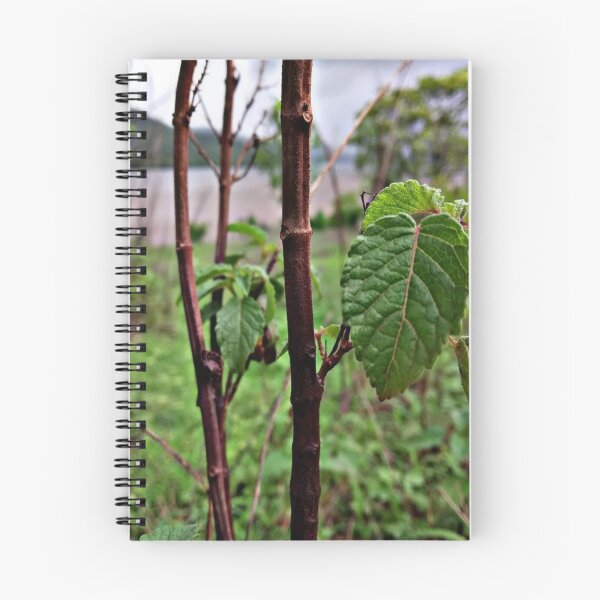 Item preview, Leap designed and sold by Zeeshan34.