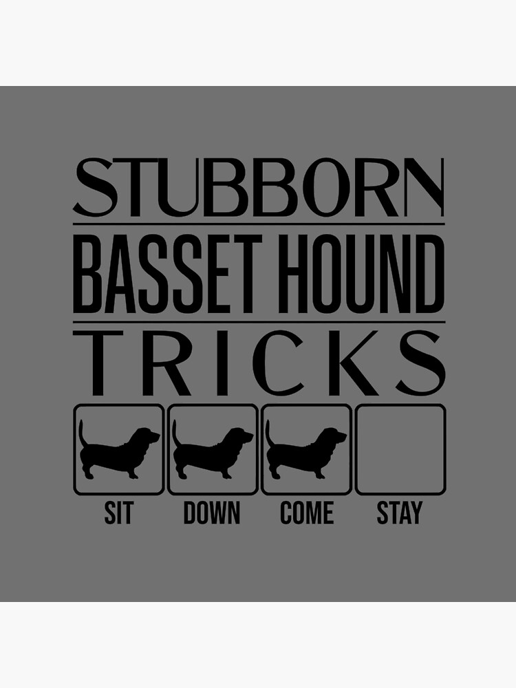 Basset hound sale stubborn