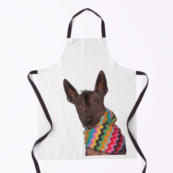 Item preview, Xolo in a scarf designed and sold by Xolo-Rescue.