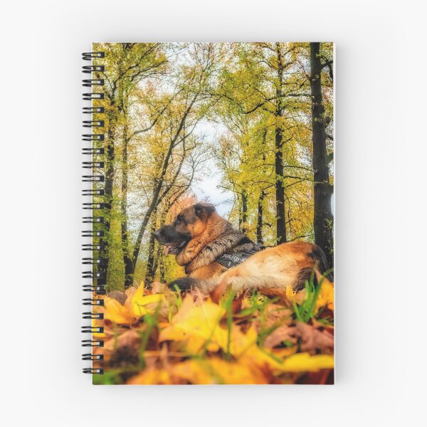 Item preview, Axel among autumnal leaves designed and sold by Roberto Pagani.