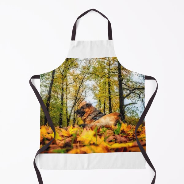 Item preview, Axel among autumnal leaves designed and sold by Roberto Pagani.