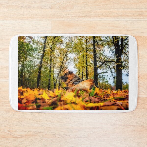 Item preview, Axel among autumnal leaves designed and sold by Roberto Pagani.