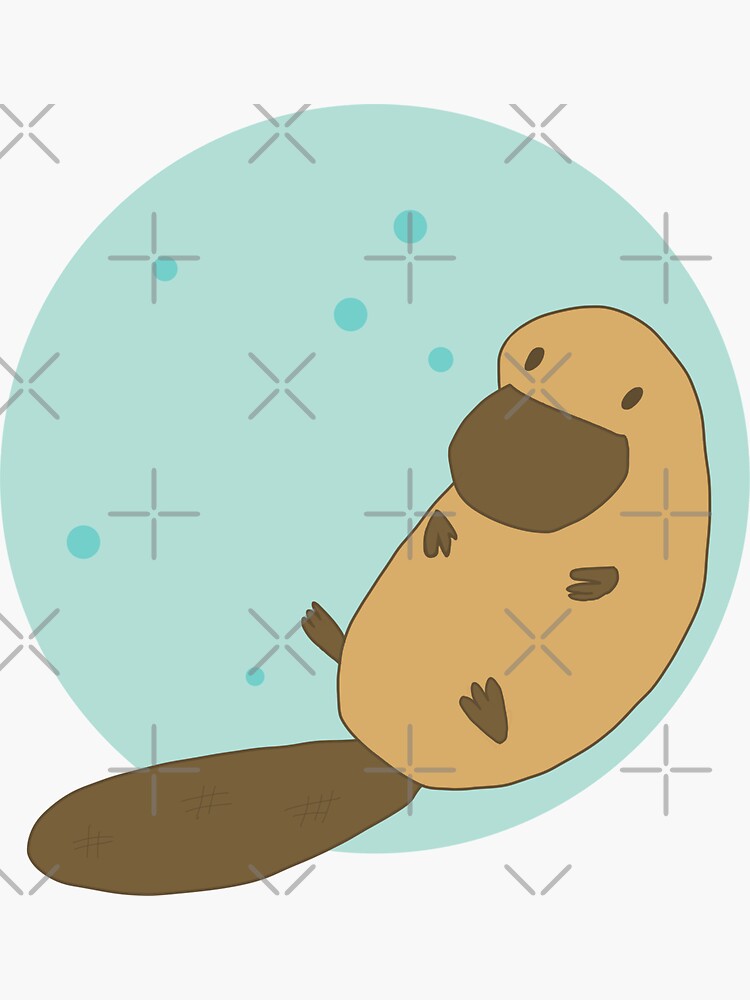 "Cute Platypus drawing" Sticker for Sale by JokeGysen | Redbubble