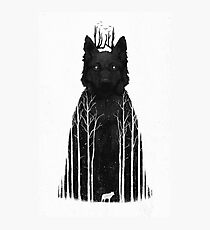 The Wolf King Photographic Print