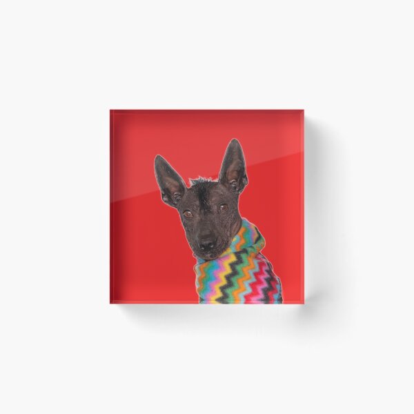 Item preview, Xolo  designed and sold by Xolo-Rescue.