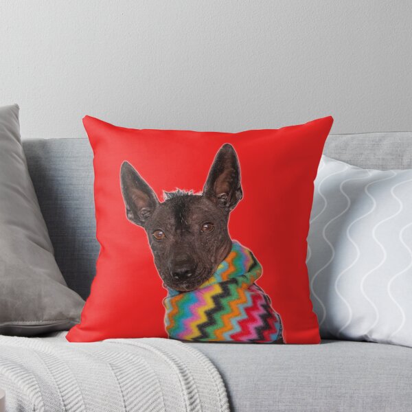 Item preview, Xolo  designed and sold by Xolo-Rescue.