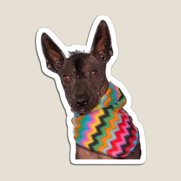 Item preview, Xolo  designed and sold by Xolo-Rescue.