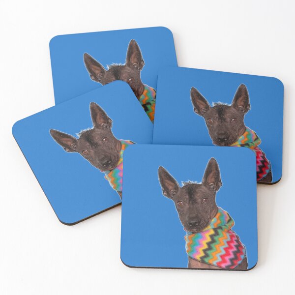 Item preview, Xolo on blue designed and sold by Xolo-Rescue.