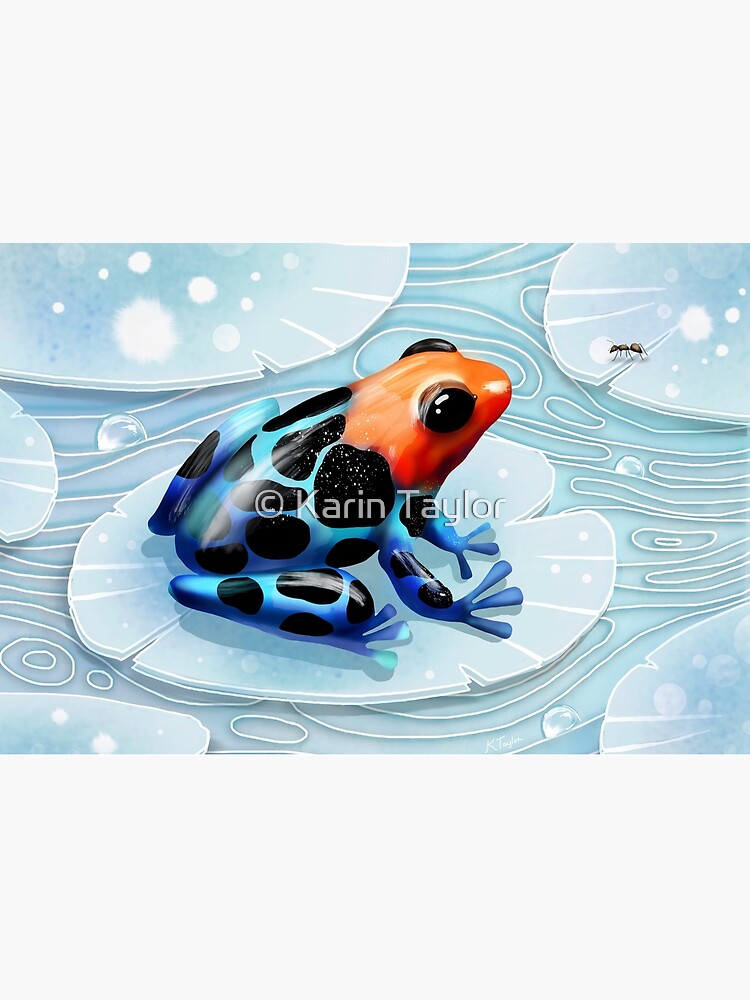 Poison Dart Frog by karin