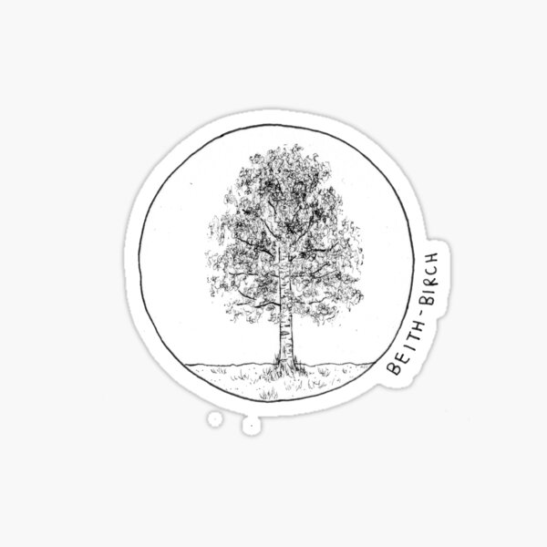Beith (Birch) Gaelic Tree Sticker