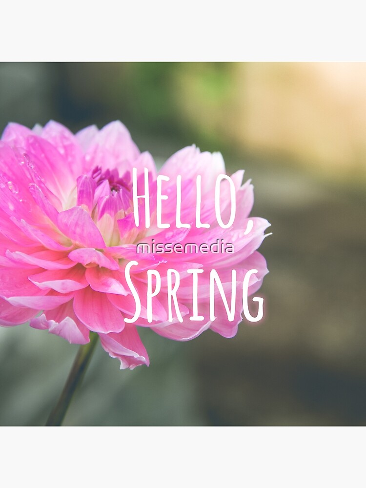Hello Spring by missemedia