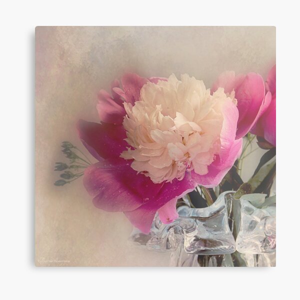 Soft peone Metal Print