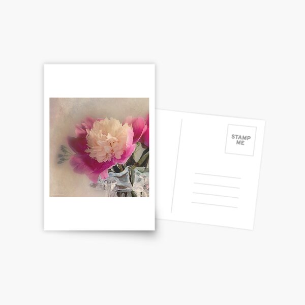 Soft peone Postcard