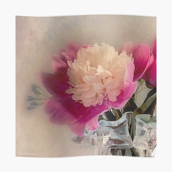Soft peone Poster