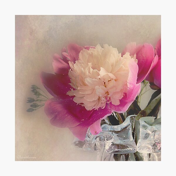 Soft peone Photographic Print