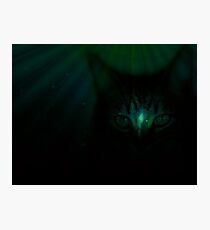 Emeralds Photographic Print