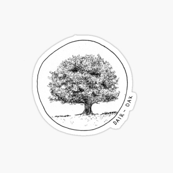 dair-oak-gaelic-tree-sticker-for-sale-by-ccorinnef-redbubble