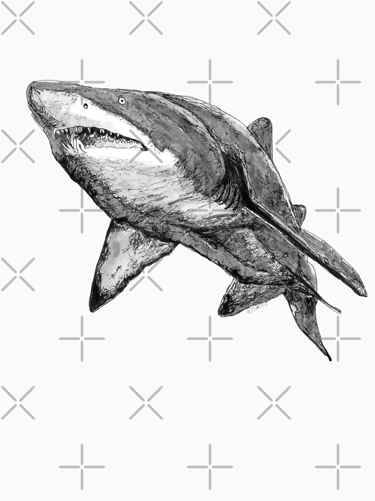 Nancy the Grey Nurse Shark by Wildcard-Sue