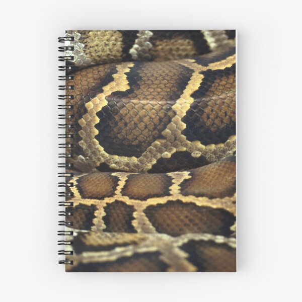 Artikelvorschau, Golden Brown Coiled Snake entworfen und verkauft von cgroenewald.