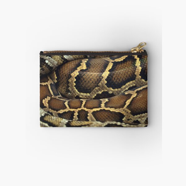 Item preview, Golden Brown Coiled Snake designed and sold by cgroenewald.