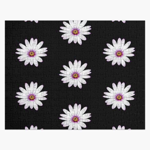 African Daisy Jigsaw Puzzle