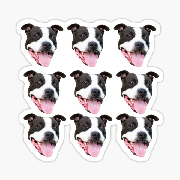 Item preview, Staffy Black and white designed and sold by Beyond Words.