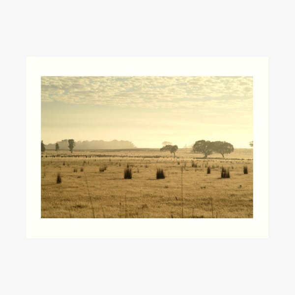 Joe Mortelliti Gallery - Dry pasture, at Mt Duneed, near Geelong, Victoria, Australia. Art Print