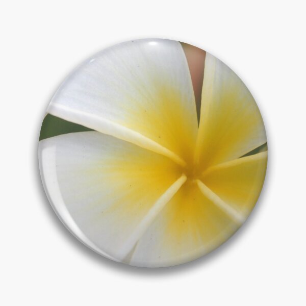 Item preview, Beautiful Hawaii White Plumeria Flower designed and sold by alohagiftbox.