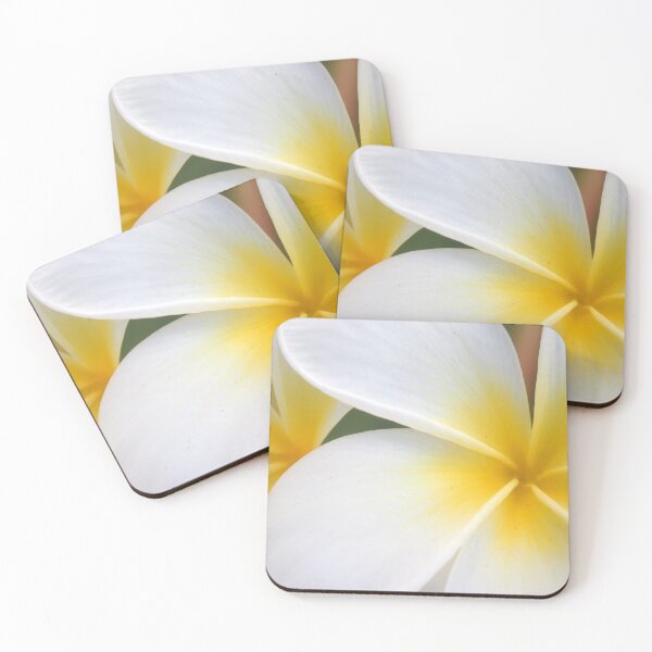 Item preview, Beautiful Hawaii White Plumeria Flower designed and sold by alohagiftbox.