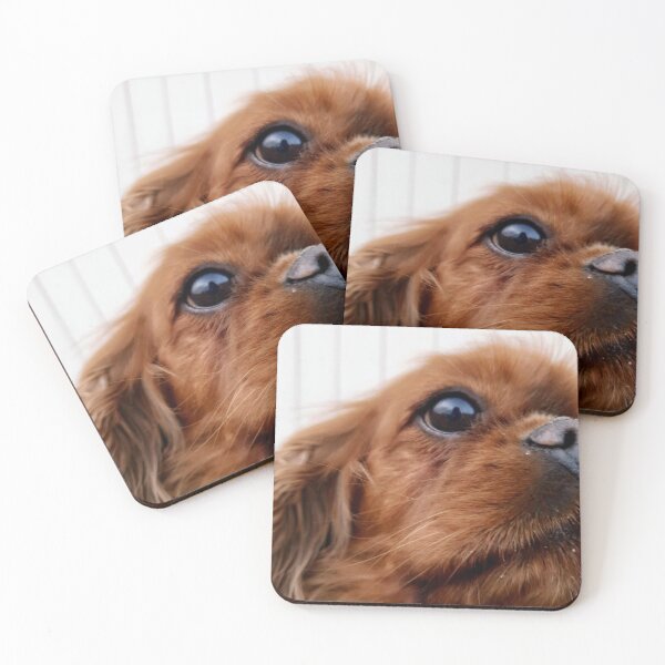 Item preview, Cavalier Kind Charles Spaniel designed and sold by El Vang.