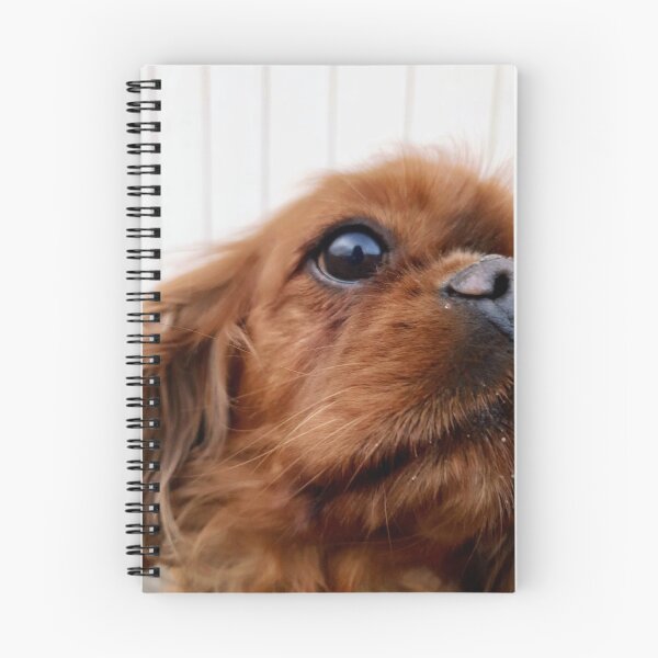 Item preview, Cavalier Kind Charles Spaniel designed and sold by El Vang.