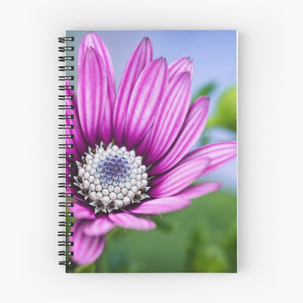 Item preview, Cape Daisy. designed and sold by John Ray.