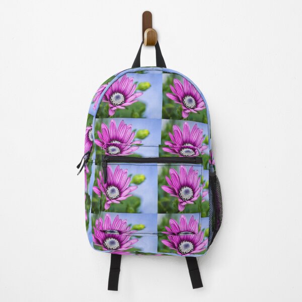 Item preview, Cape Daisy. designed and sold by John Ray.