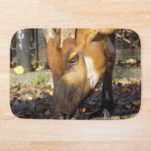 Artikelvorschau, Antilope, die im Sonnenschein weidet entworfen und verkauft von Catavan.