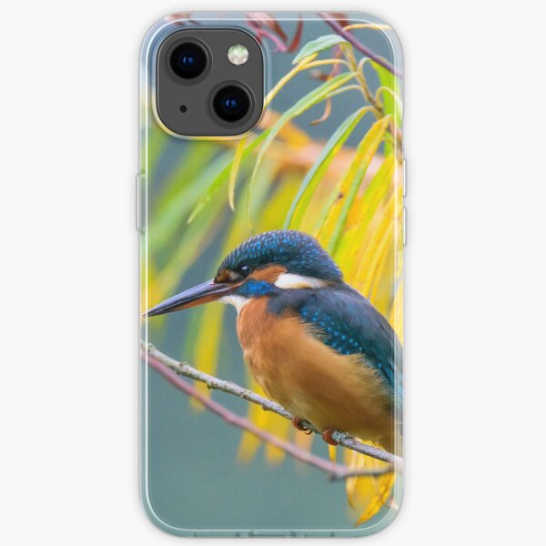 Autumn Kingfisher iPhone Soft Case