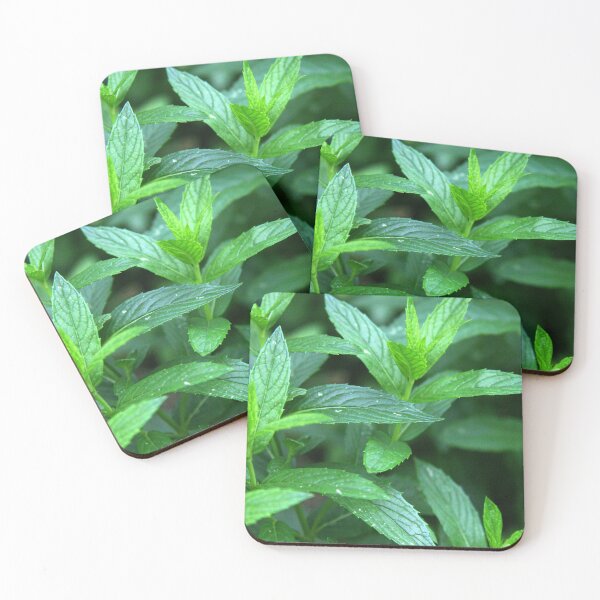 Item preview, Mint Sauce....Where's the Lamb? designed and sold by coffeebean.