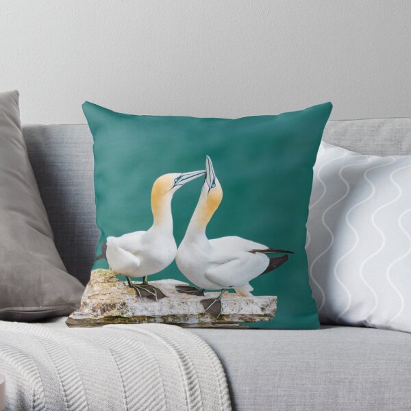 Bonding Gannets Throw Pillow
