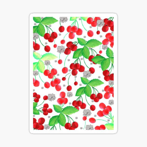 Keeping up with cherries Sticker