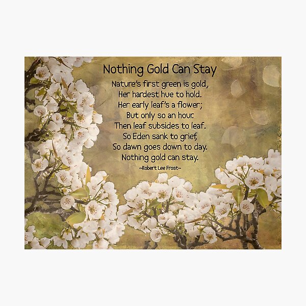 Nothing Gold Can Stay Photographic Print