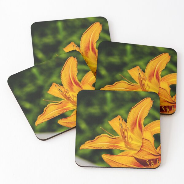 Item preview, Looking to the Light designed and sold by SRosuphotos.