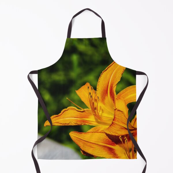 Item preview, Looking to the Light designed and sold by SRosuphotos.