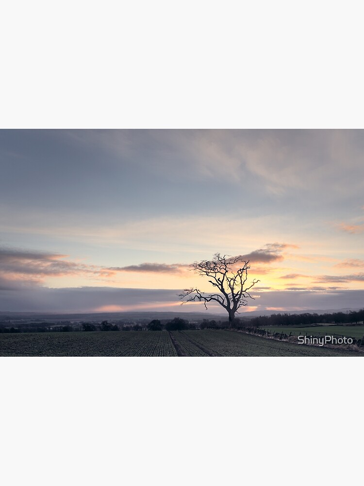 Sunrise, Muthill (1) by ShinyPhoto