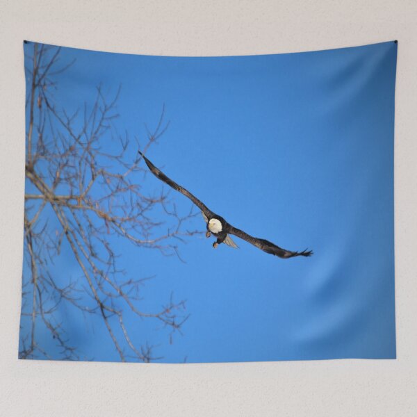 Item preview, Eagle in flight designed and sold by BellsPainting.