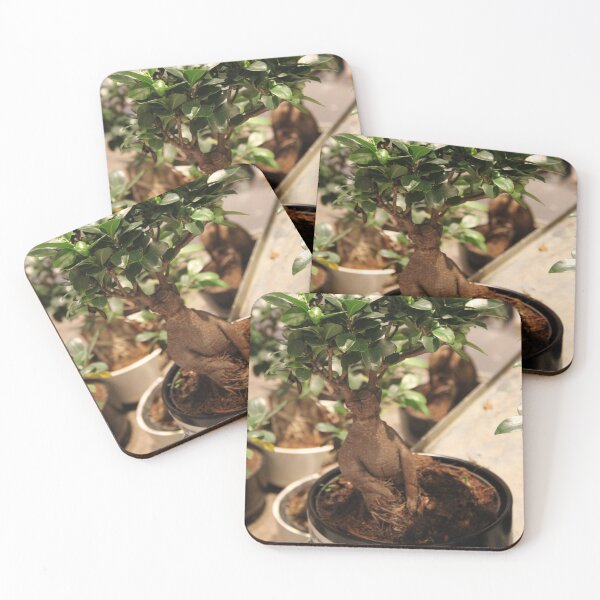 Item preview, Botanical Mandrake graphic bonsai tree designed and sold by EstelleRossetti.
