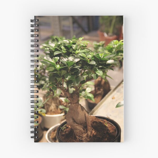 Item preview, Botanical Mandrake graphic bonsai tree designed and sold by EstelleRossetti.