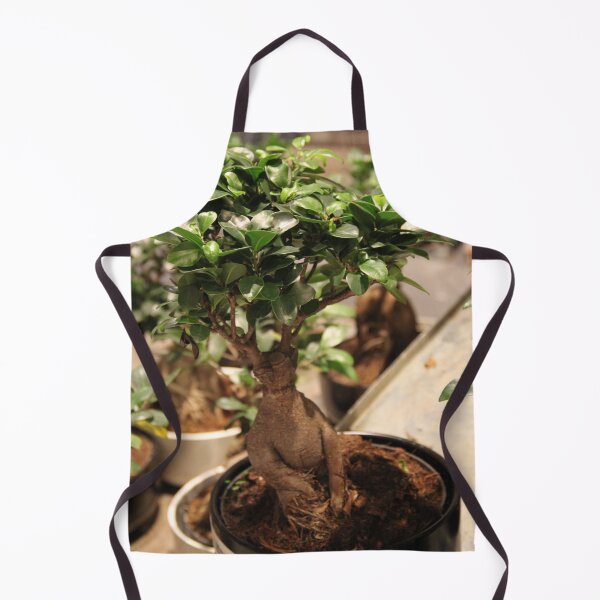 Item preview, Botanical Mandrake graphic bonsai tree designed and sold by EstelleRossetti.