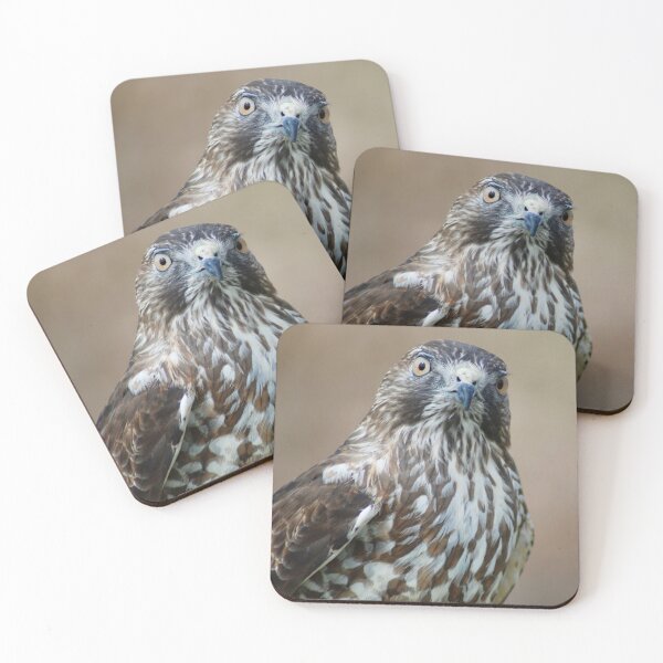 Item preview, Curious Norman the Broad Winged Hawk designed and sold by richardbryce.
