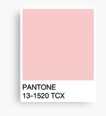 Pantone - Rosenquarz Leinwanddruck